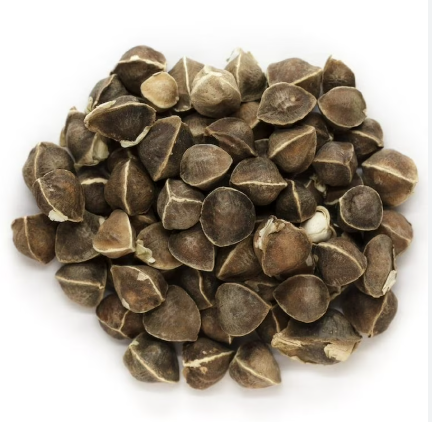 Dried Moringa Seeds